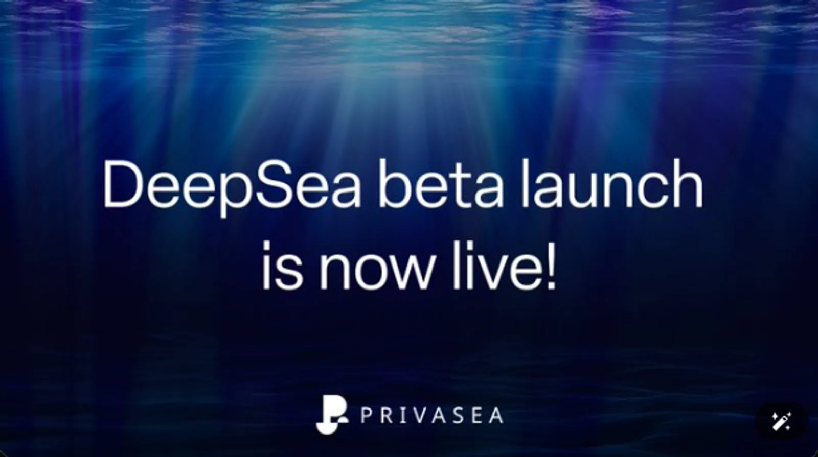 News and Updates from Privasea AI