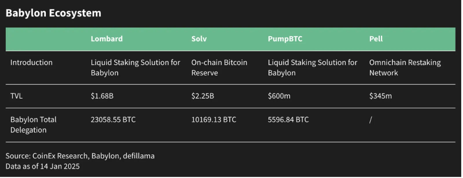 CoinEx & ViaBTC | 2024 Kripto Yıllık Raporu - image 13