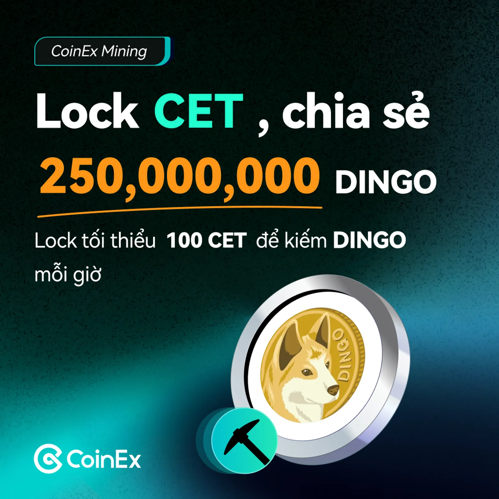 Lock CET để chia sẻ 250,000,000 DINGO