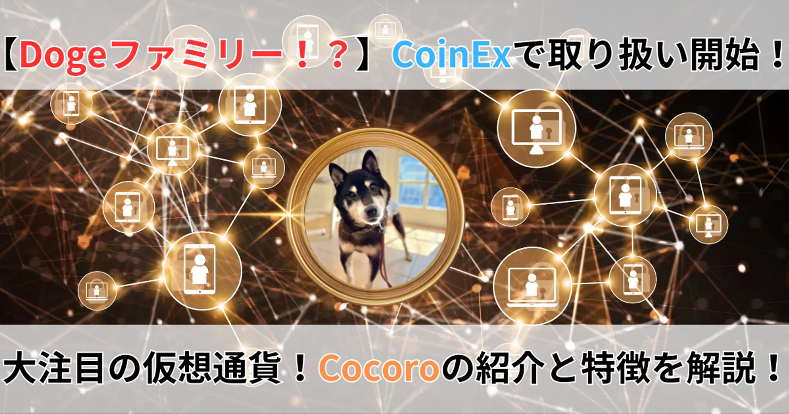 cover_cocoro