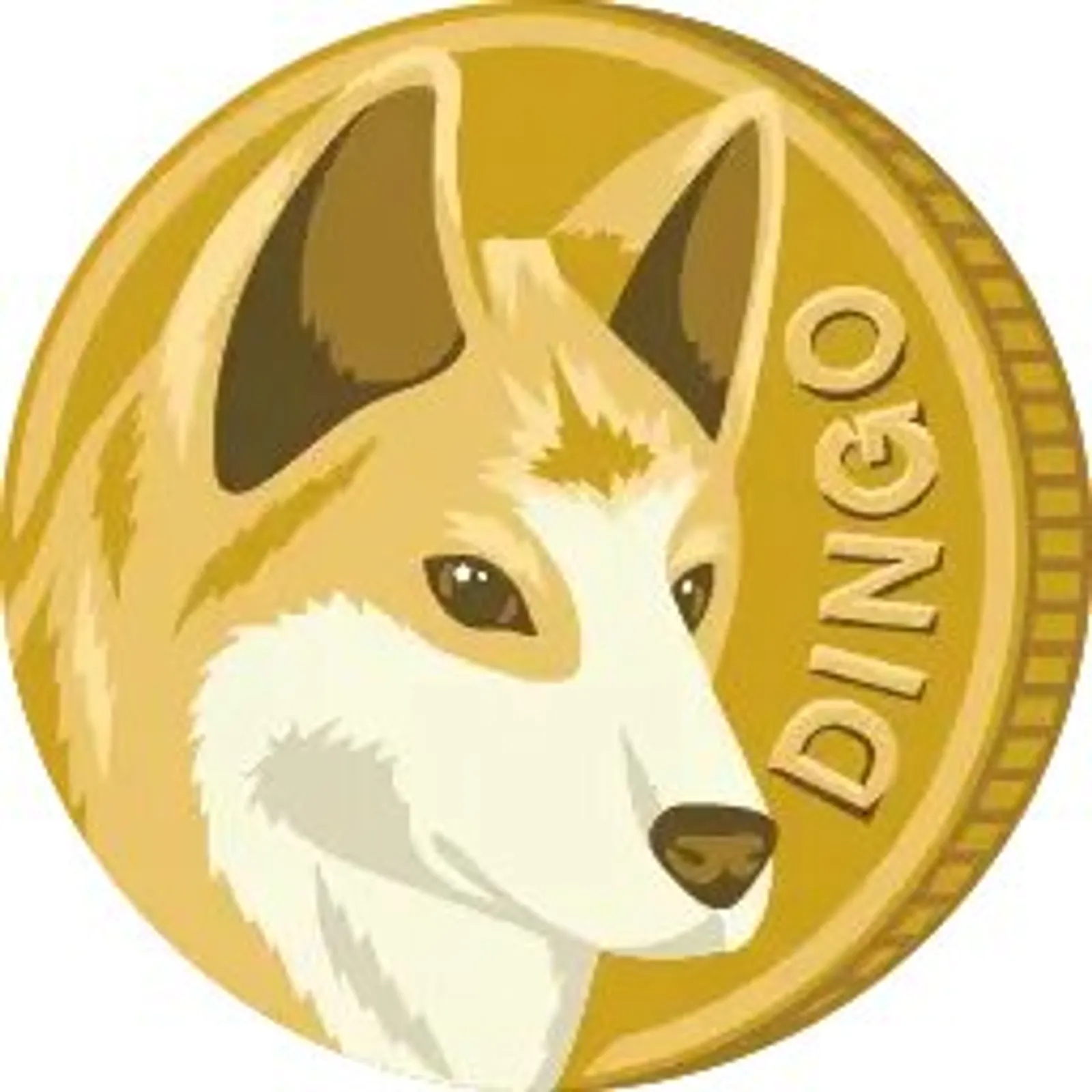 (DINGO): A Memecoin with Global Ambitions