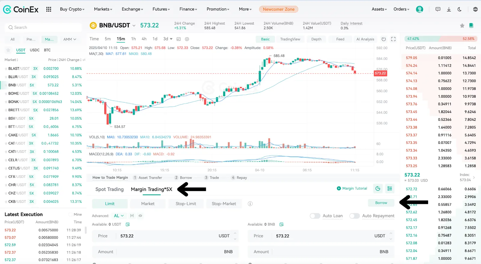 Borrowing BNB with Leverage