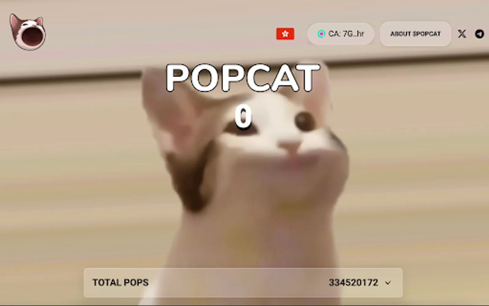 Popcat (POPCAT)