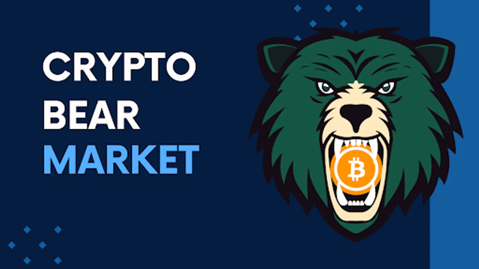 Crypto Bear Market