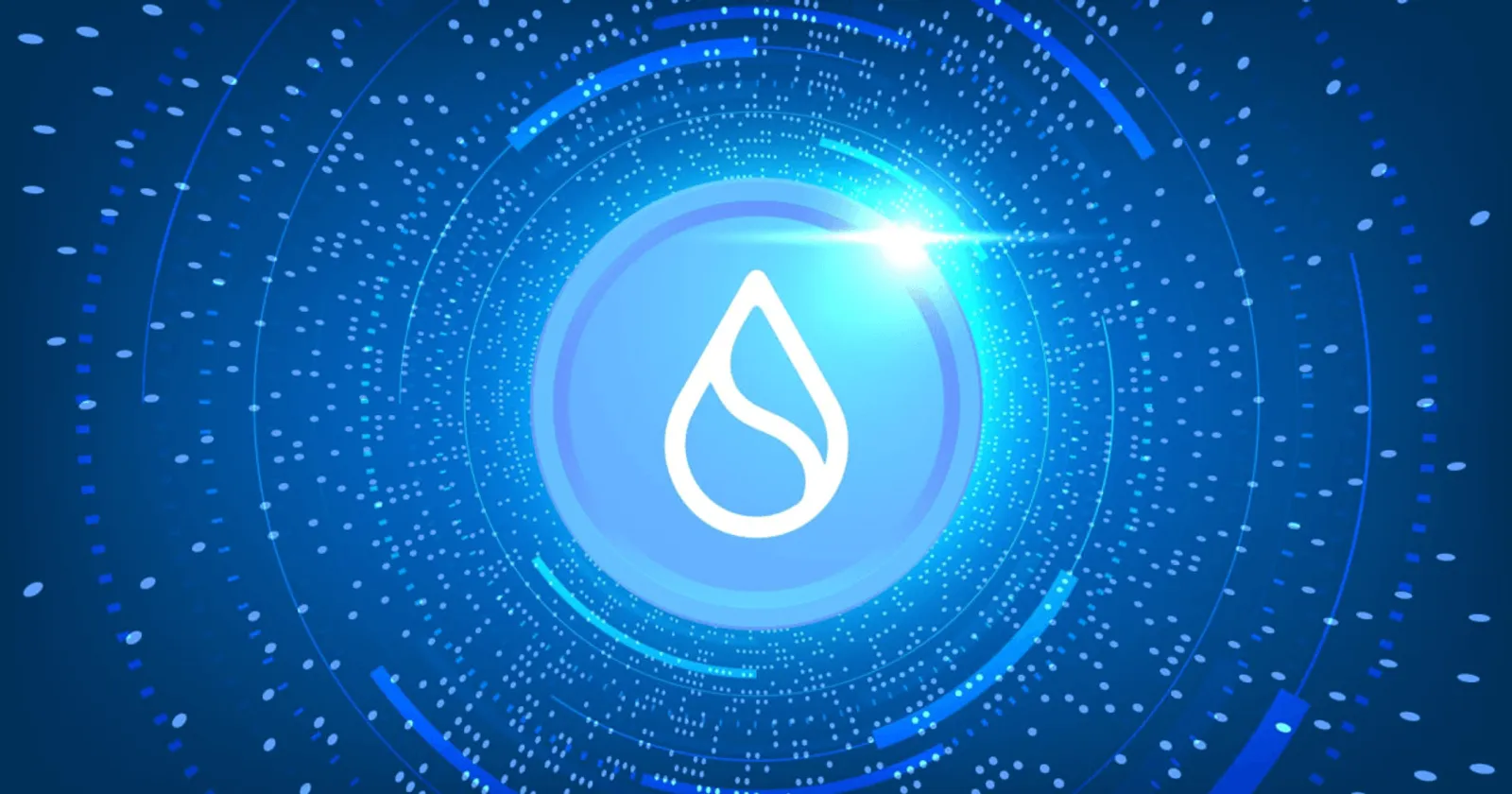 the SUI Blockchain