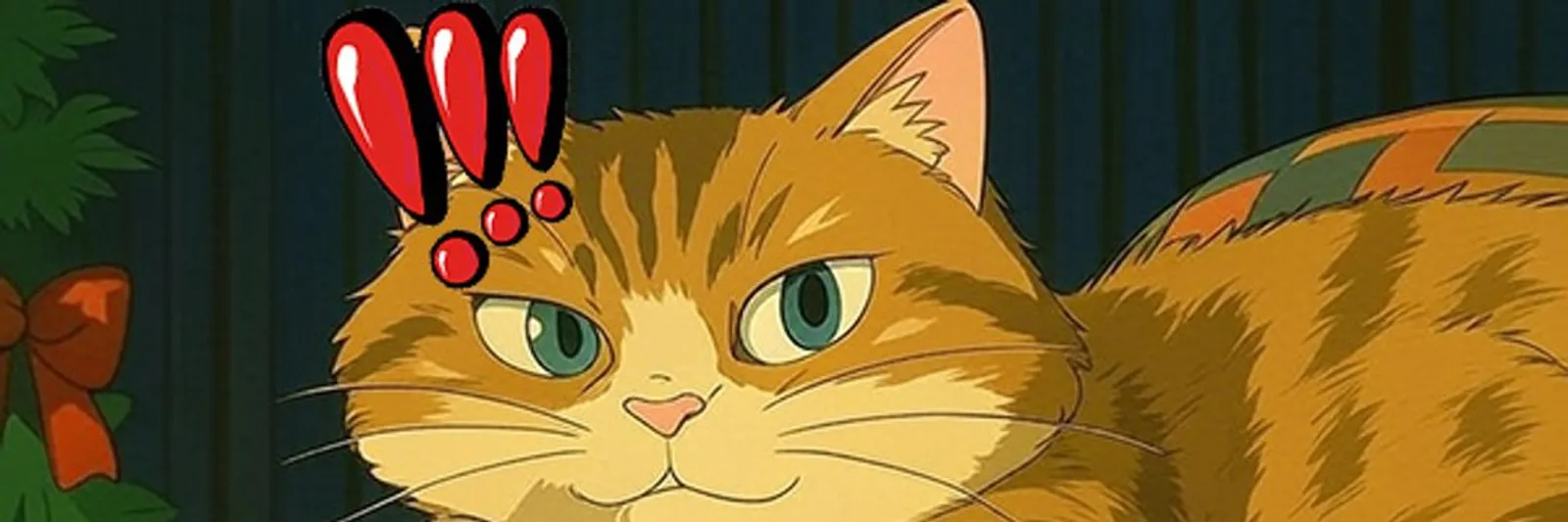 Hosico cat