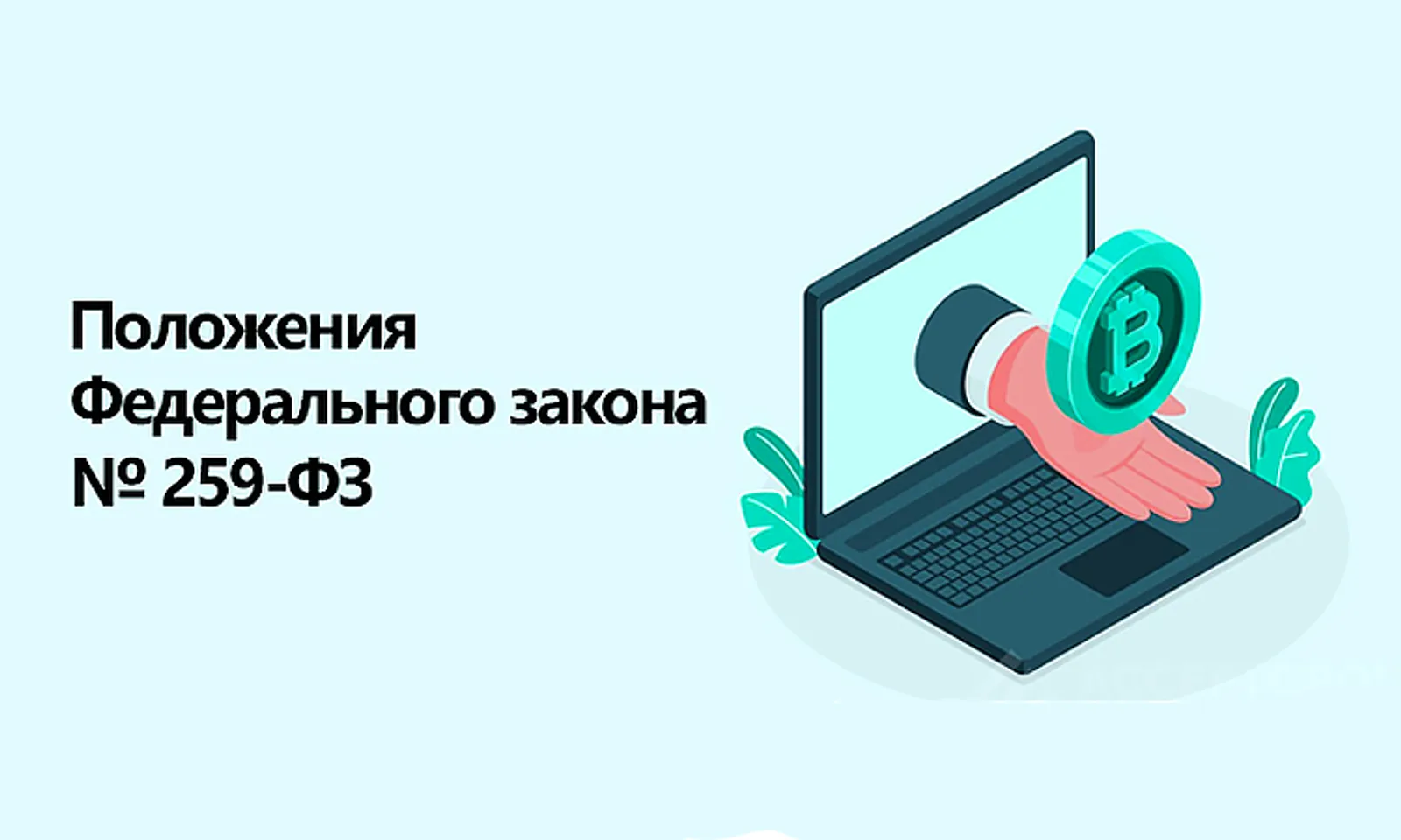 Закон № 259-ФЗ