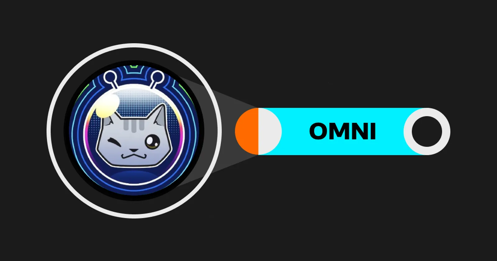 10. OmniCat (OMNI)