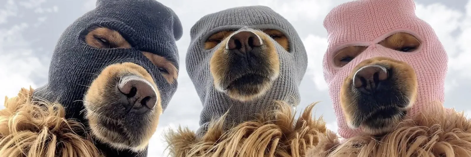 6. Ski Mask Dog (SKI)
