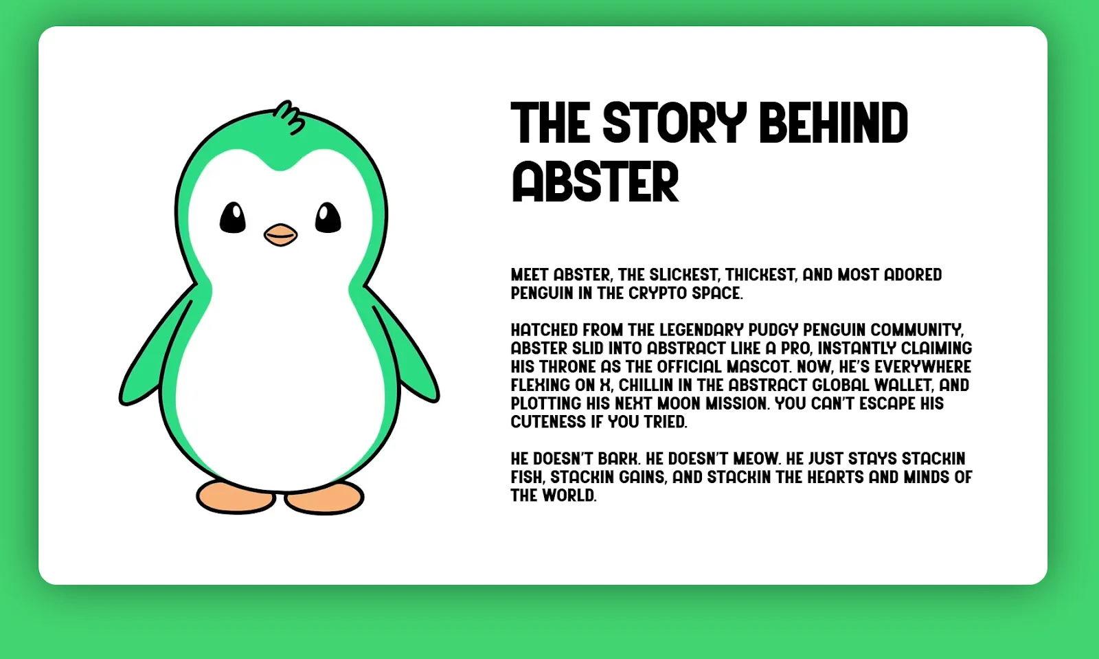 THE STORY BEHIND ABSTER