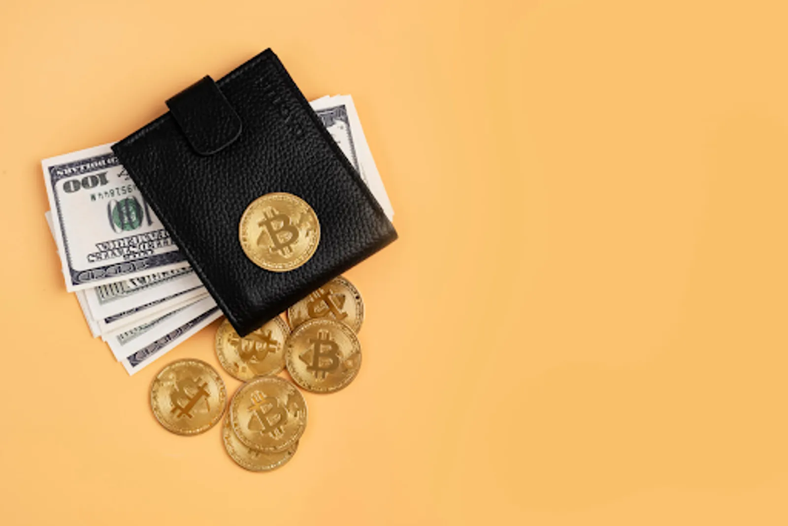 Cómo construir una cartera diversificada de criptomonedas sin ser un experto