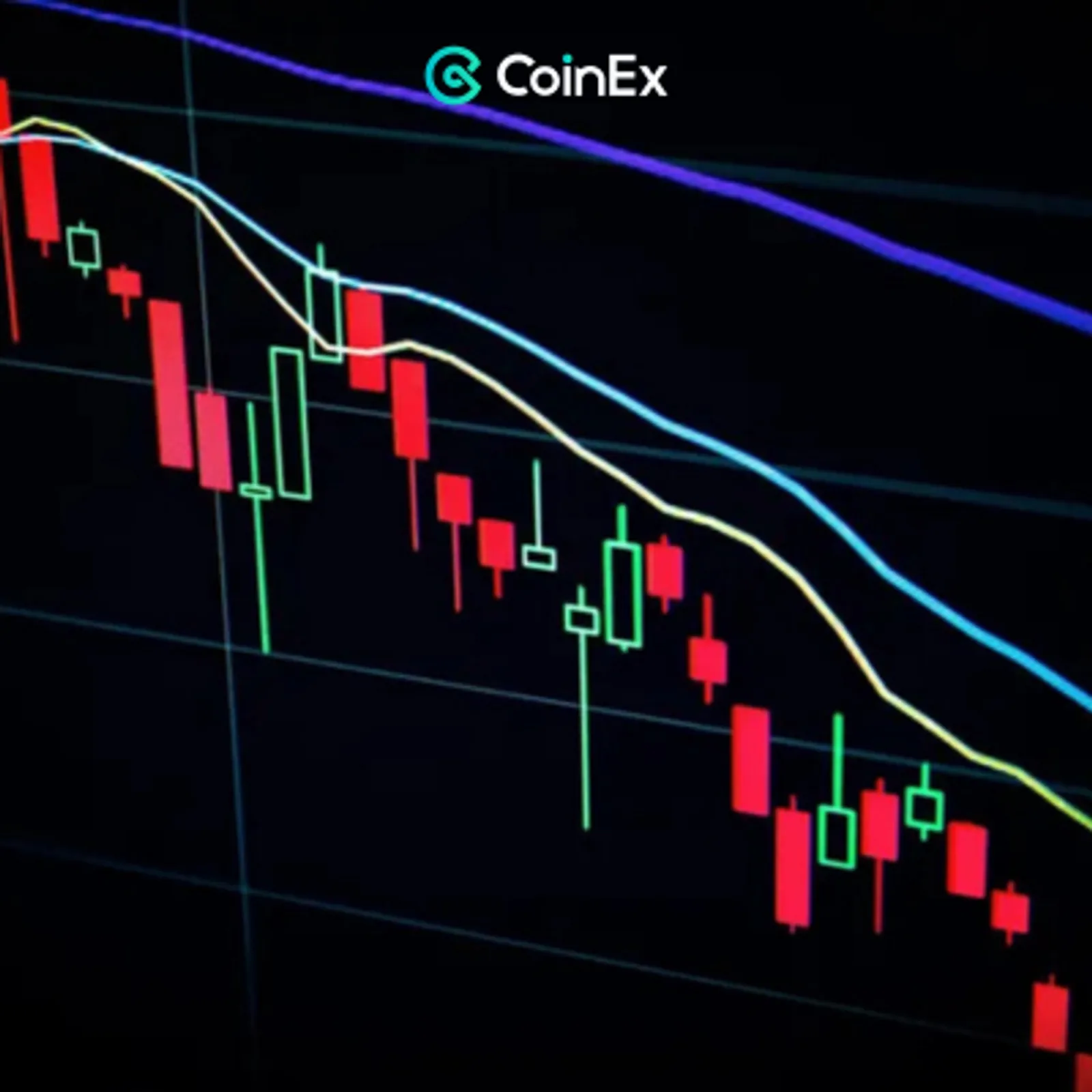 Why Is the Crypto Market Down? What Traders Should Expect in October 2025