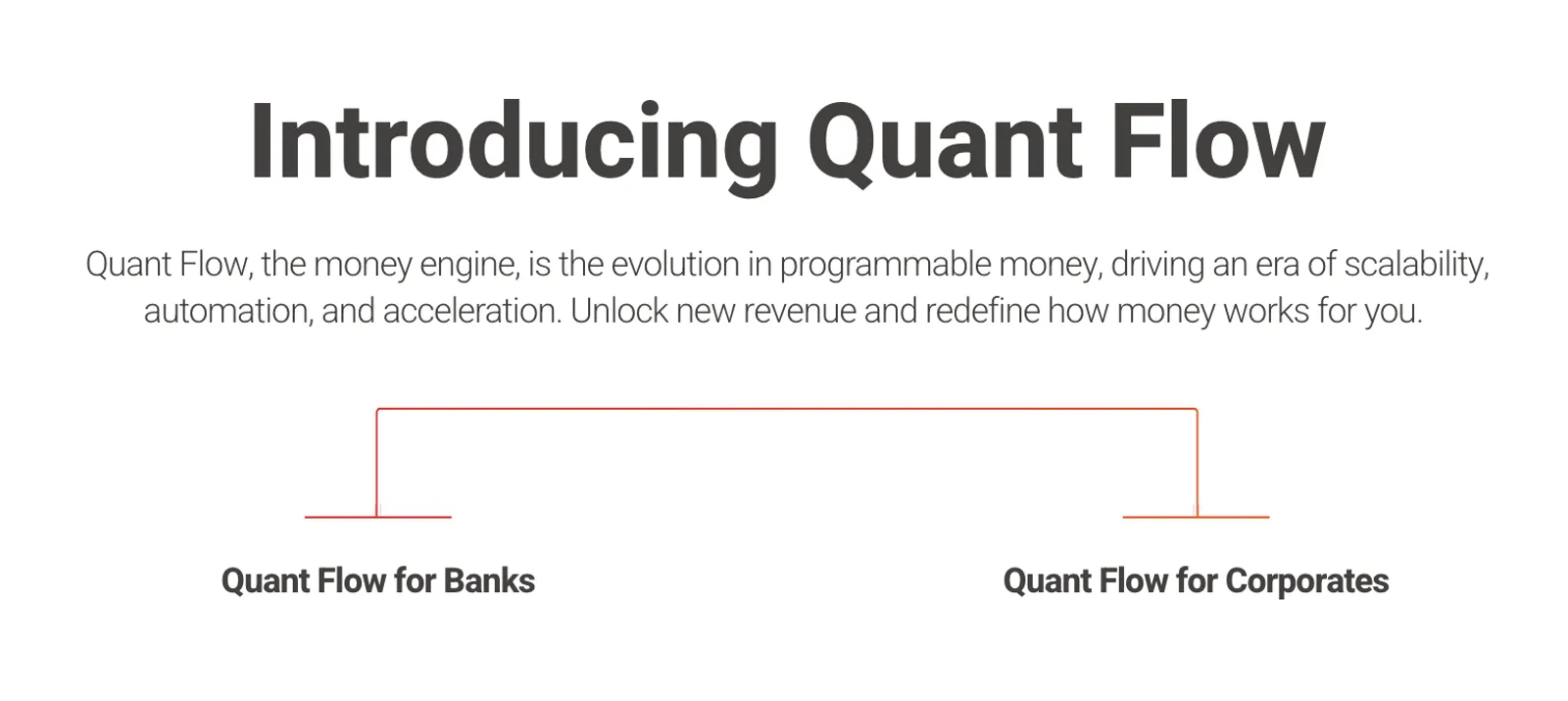 Where Quant fits in the market