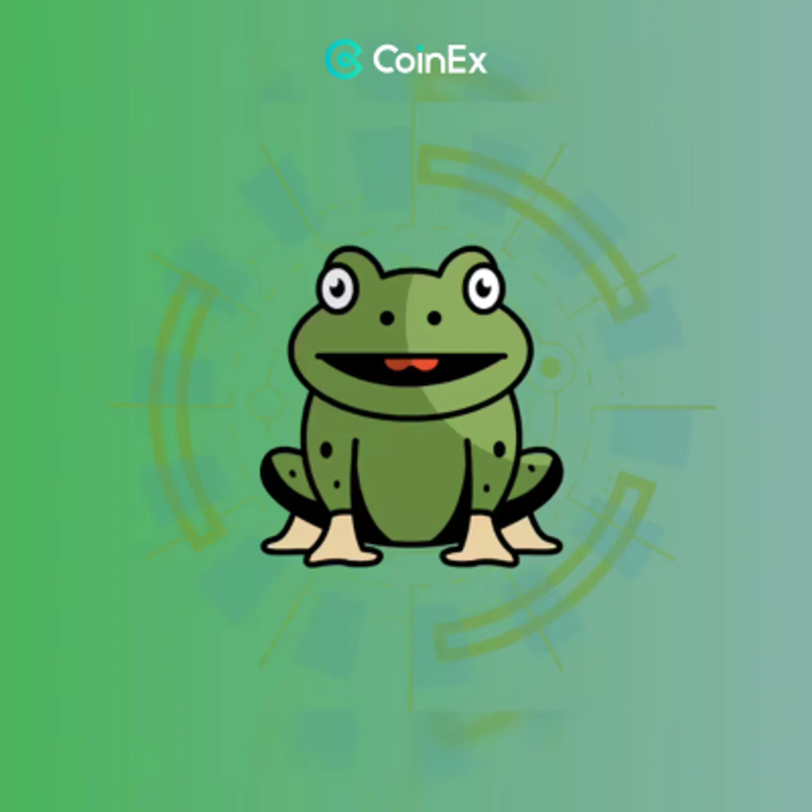 Top 5 Frog-Themed Coins in January 2026