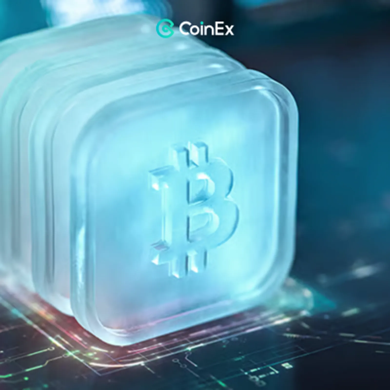 Top 5 Moedas de Infraestrutura para Observar em Janeiro de 2026 | Uma Análise Aprofundada da Espinha Dorsal da Blockchain