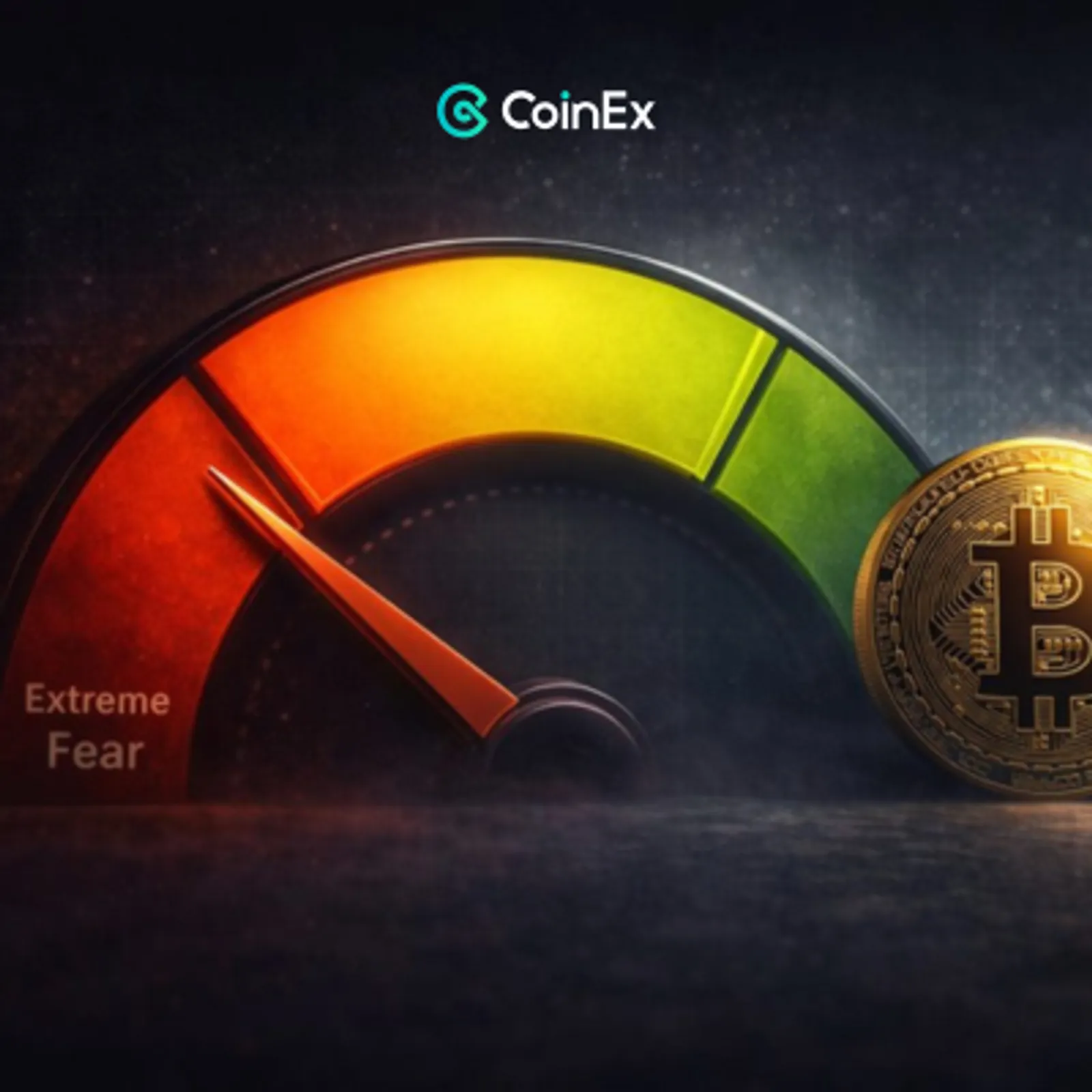 Why Bitcoin Rises During Extreme Fear and What It Signals for the Crypto Market in 2026