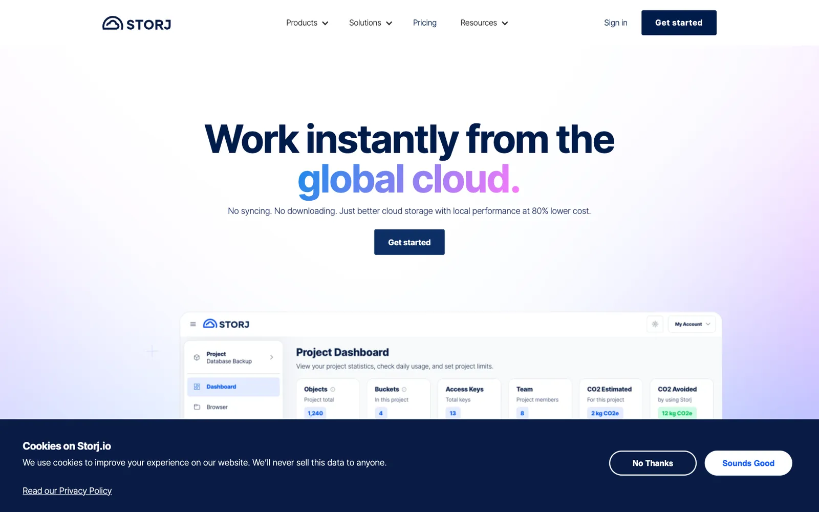Official Website Snapshot