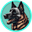 coin-logo