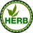 coin-logo