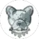coin-logo