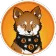 coin-logo