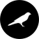 coin-logo