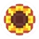 coin-logo