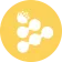 coin-logo