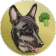 coin-logo