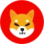 coin-logo