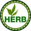 coin-logo
